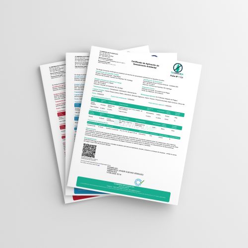 01-Free-US Letter-Magazine-Brochure-Mockup COLORED